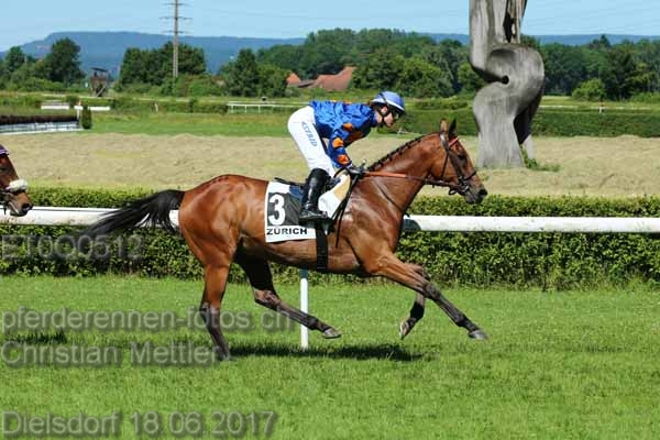 ET0Q0512 prot